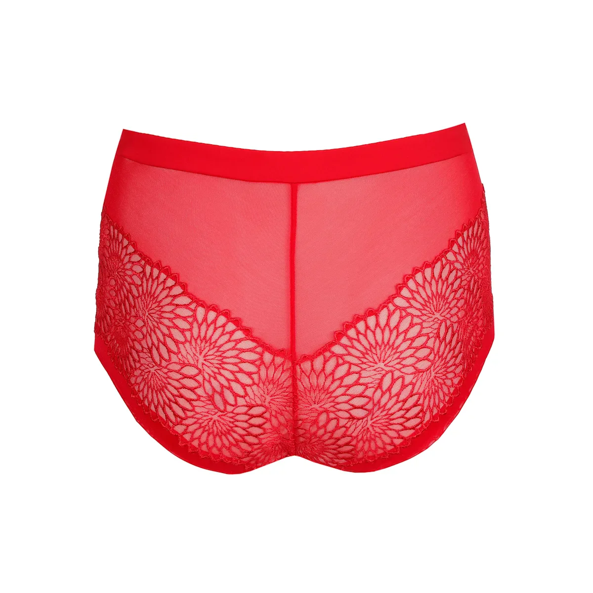 Sophora Hot Pant - Image 5
