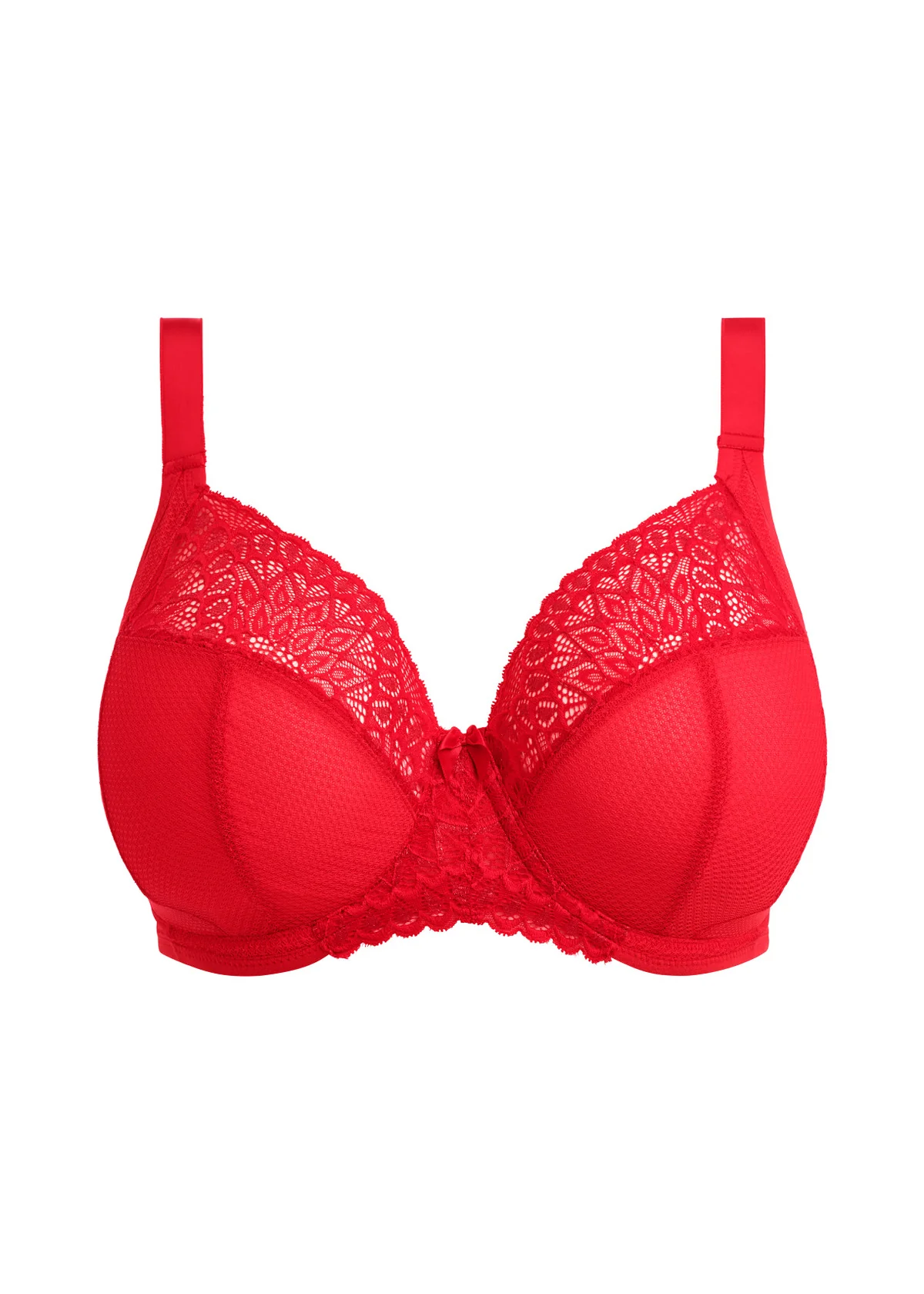 Tiernie Plunge Bra - Image 6